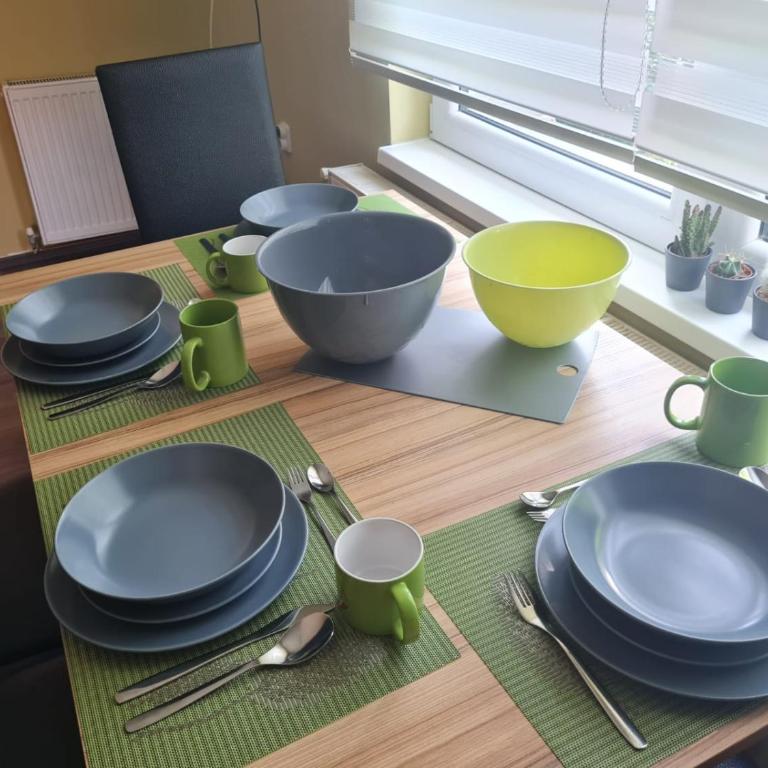Apartman Boskovic - Apartman sa 1 Spavaćom Sobom - 10