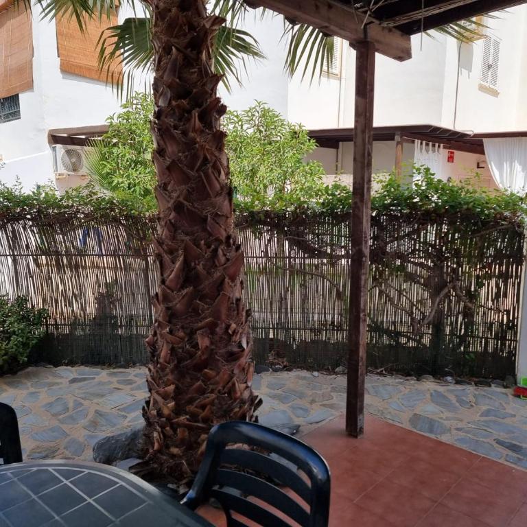 Casa Baja naturista con patio en primera linea! - Apartamento de 1 dormitorio - 20