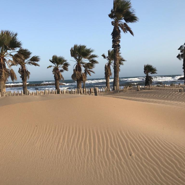 Apartment Newly Renovated Aircond-wifi-pool-sea View-150m to Beaches- Saint Aygulf - Appartamento con Vista Mare - 21