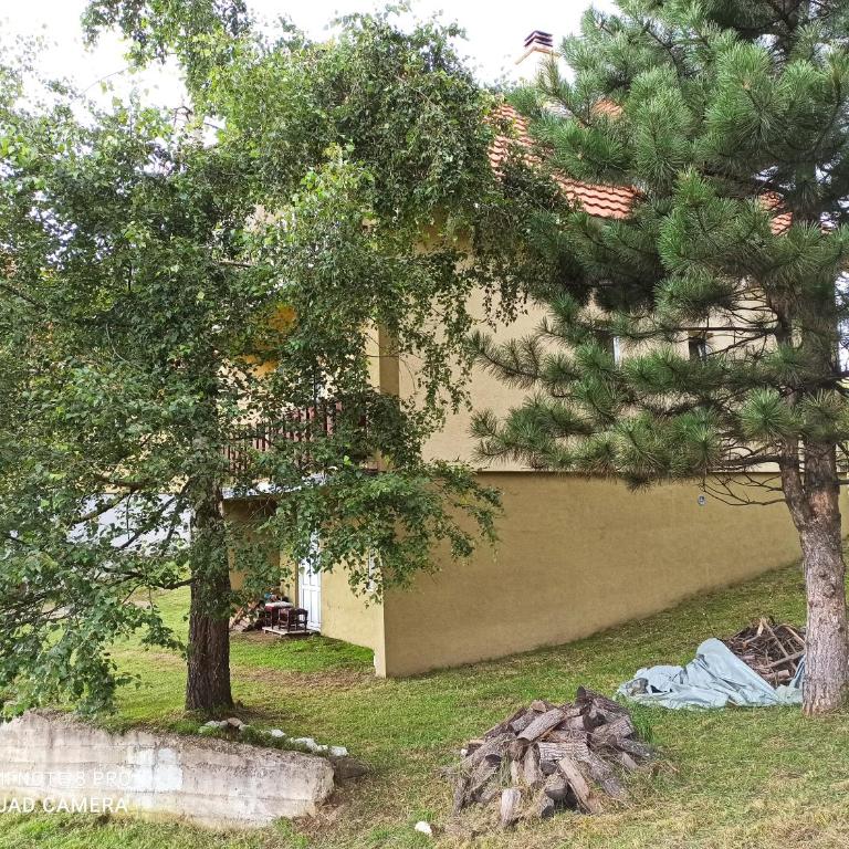 Vikendica Kop - Five-Bedroom House - 24