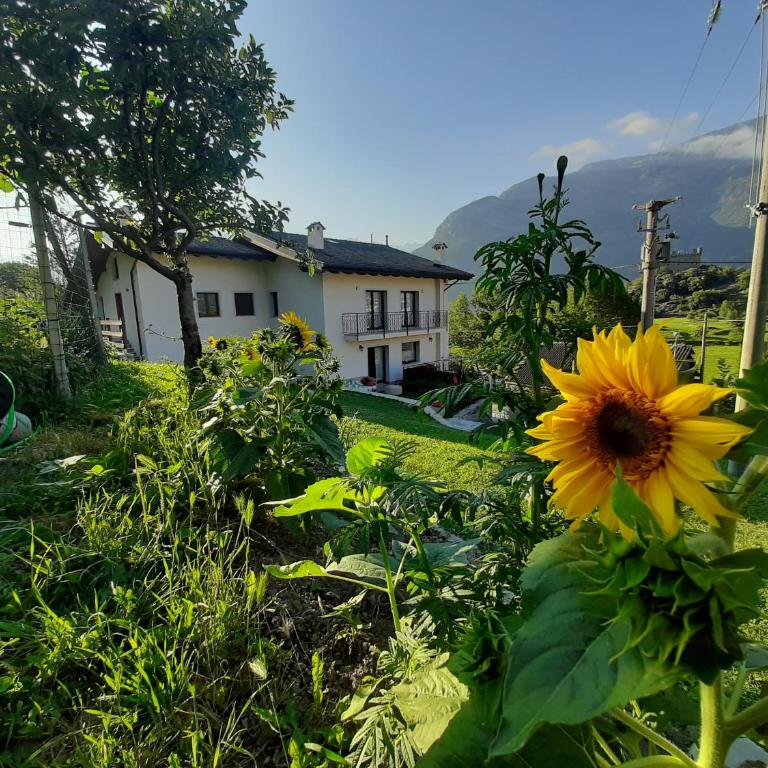 La Maison de Joanna 2 - Casa con 4 camere da letto - 18