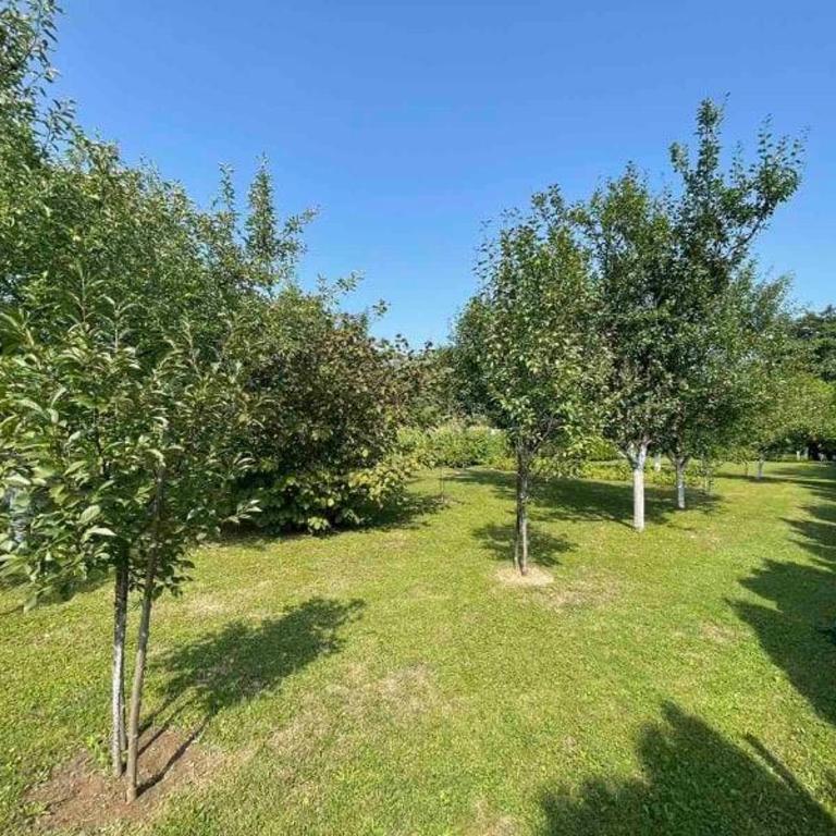 ENNI - Two-Bedroom House - 30