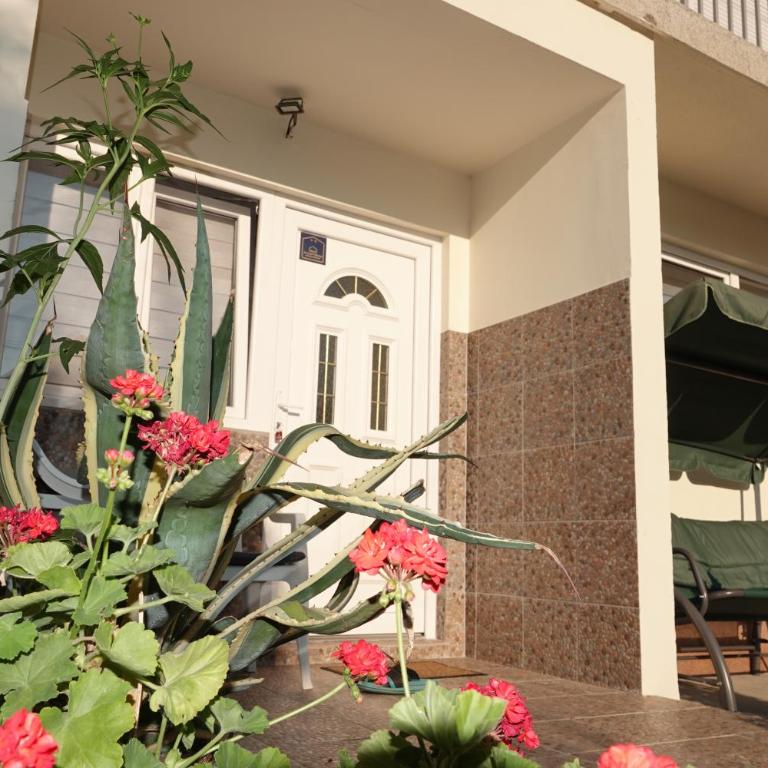 Konačište Kovačević - Apartman sa 1 Spavaćom Sobom - 12