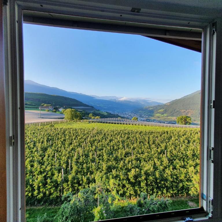 WEINBERG APARTMENTS & Brixen Südtirol Guest Pass - Apartamento de 2 dormitorios - 16