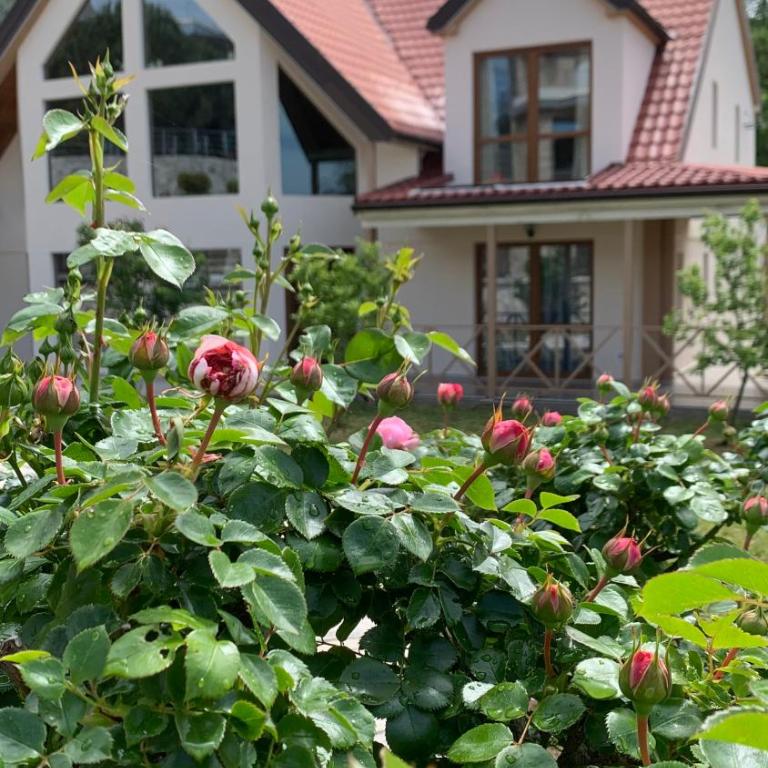 Villa Coast of Montenegro - Villa with Private Pool - 9