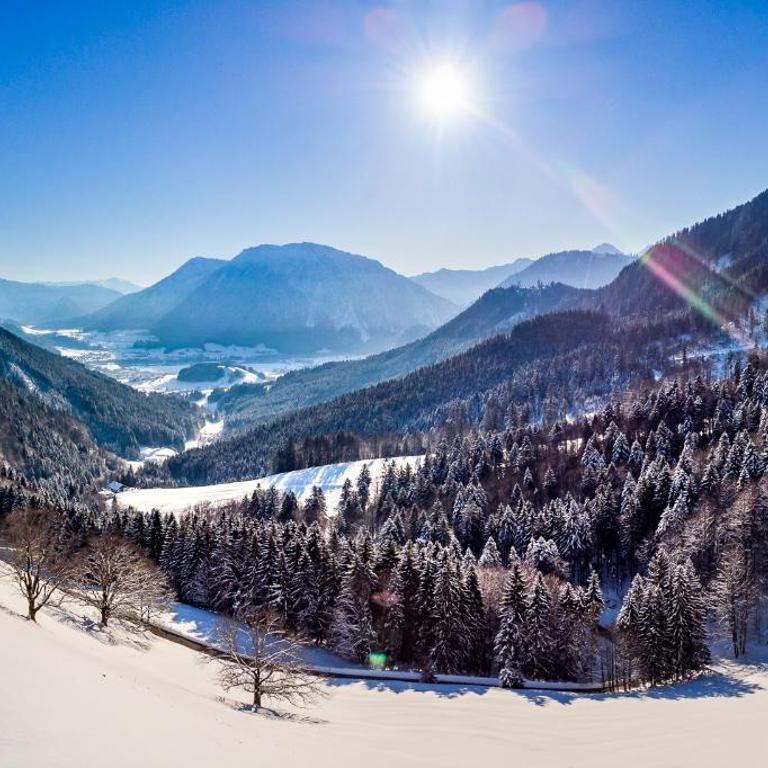 Steinberger Hof Alm inkl. Chiemgau Karte - Chalet - 4