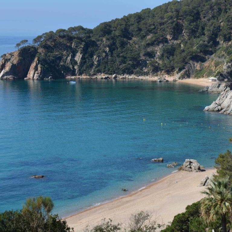 Cala Llevadó 2 – Vistas, Piscina y Cerca del Mar - Apartamento de 1 dormitorio - 21