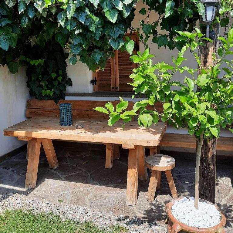 Bertoldihof - Appartamento con Vista Giardino - 7
