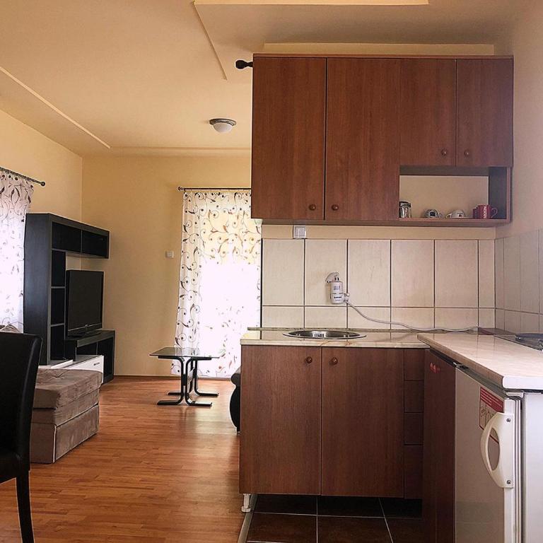 Apartman Sasa - Apartman sa 1 Spavaćom Sobom - 10