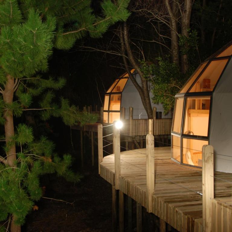 Magma Lodge, Pucon - Bungalow (4 adultos) - 5