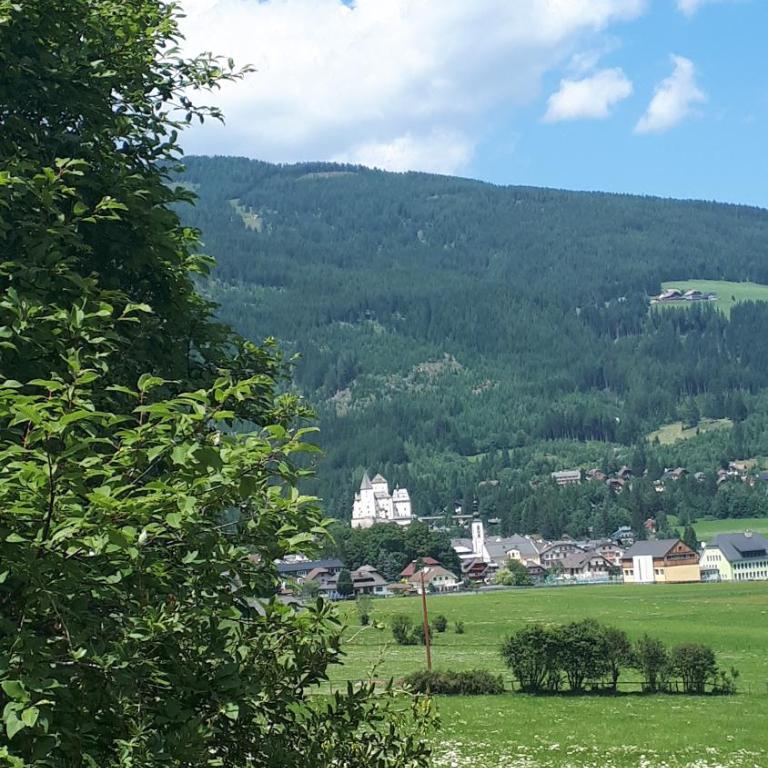 Ferienwohnungen Schartner - Apartment mit 2 Schlafzimmern und Bergblick - 48