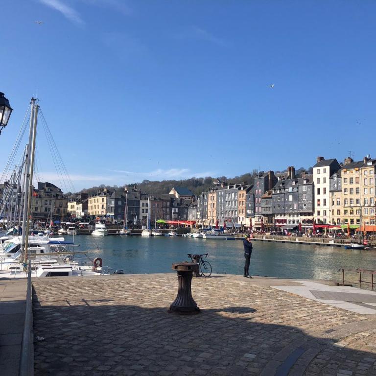Cosy studio Place Sainte Catherine - Appartement 1 Chambre - 18