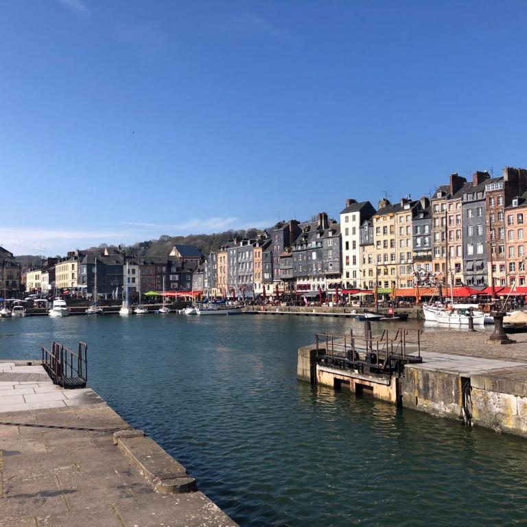 Studio Julianne place Sainte Catherine - Studio Double Deluxe - 11