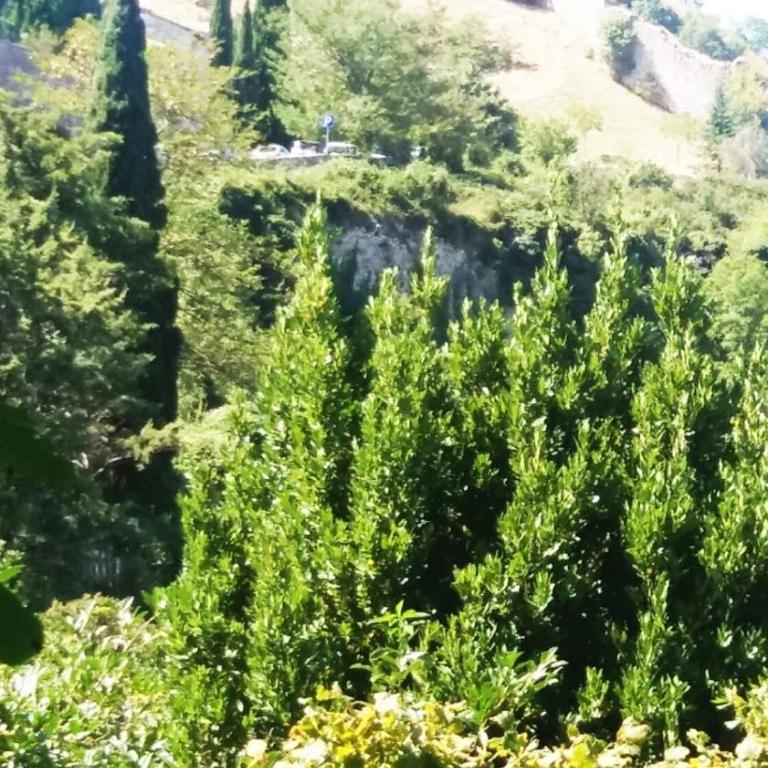 Perfetta Letizia Casa Vacanza - Appartamento con 2 Camere da Letto - 54