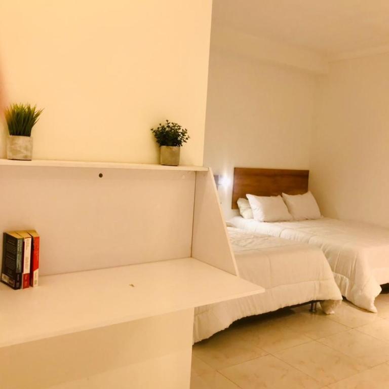 Soy Local Primavera - Apartamento - Planta baja - 7