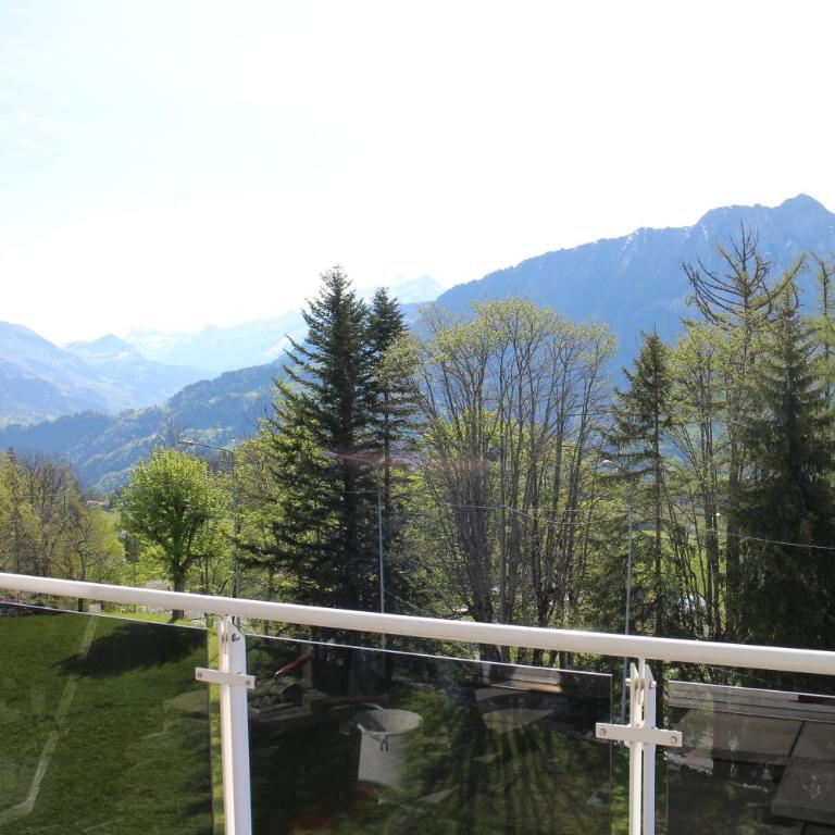 Résidences du Chamossaire - Apartamento Grande Familiar con 1 dormitorio - 12