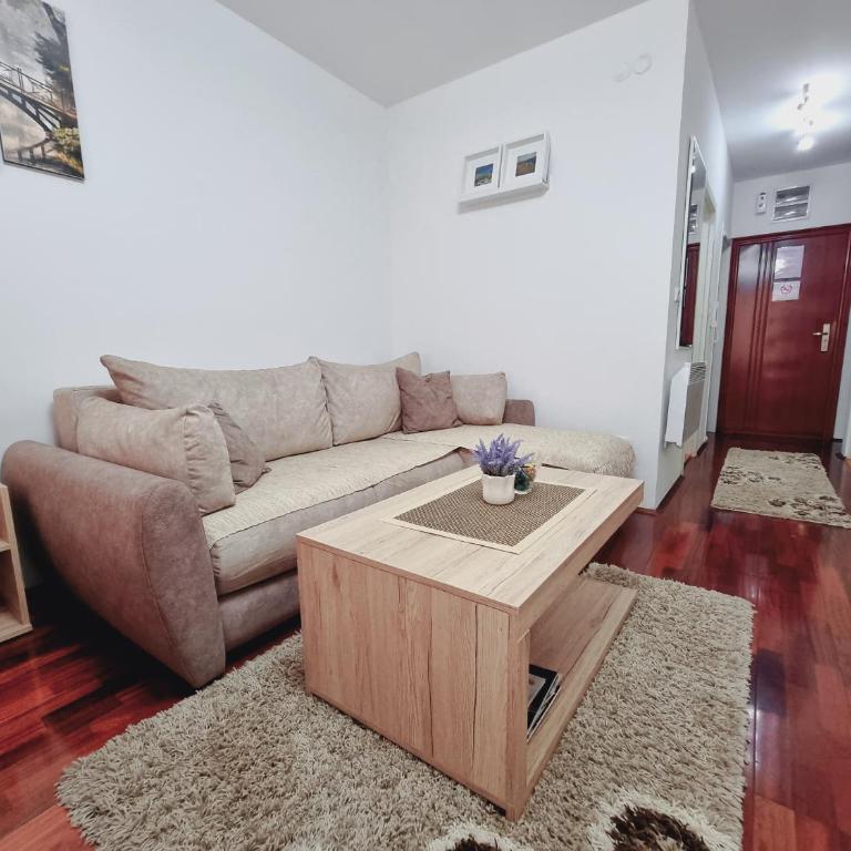Apartman Temida Lux - Studio Apartment - 5