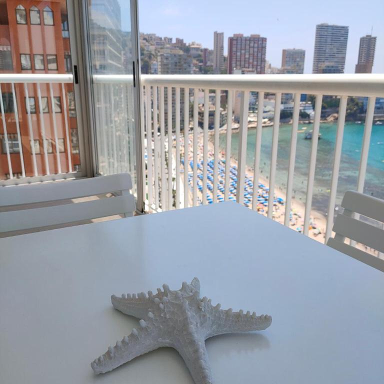 Apartamento Veracruz - Primera Linea de Playa - Two-Bedroom Apartment - 1