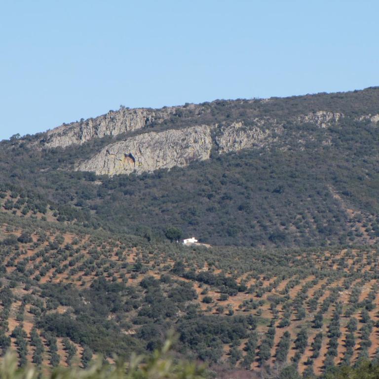 Cortijo "Era Grande 2" - Casa Unifamiliar de 3 dormitorios - 40