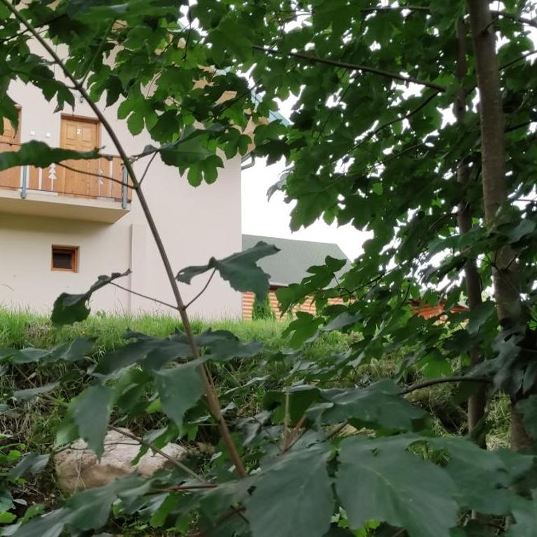 Apartmani Vuk - Apartman sa Pogledom na Planinu - 75