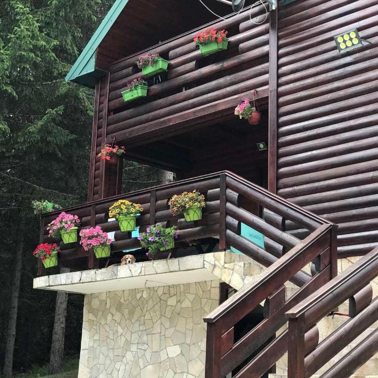 Tanjuška - Two-Bedroom Villa - 18