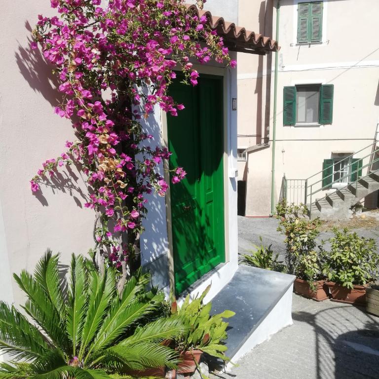 La Torretta di Piero con terrazzi e parcheggio privato Citra zero zero ottanta 31LST0282 - Appartamento con 2 Camere da Letto - 3