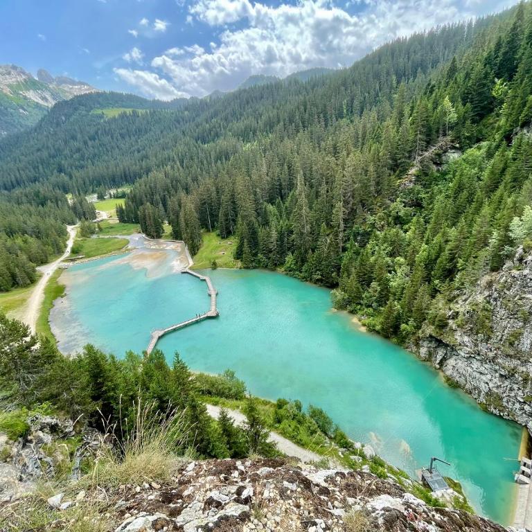 Chaleureux T2 La Tania Courchevel pieds des pistes - One-Bedroom Apartment - 18