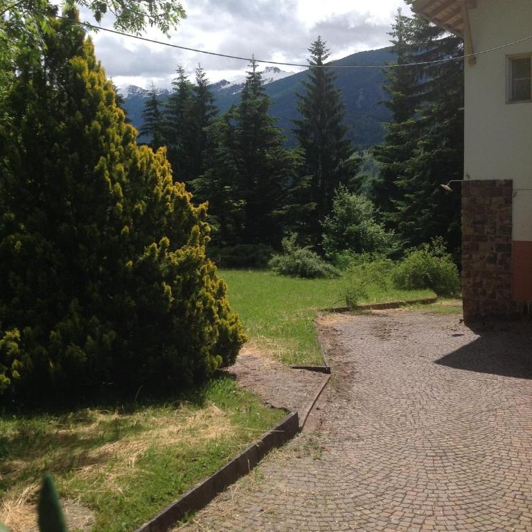 Villa Volpe Rossa - Villa con 5 Camere da Letto - 14
