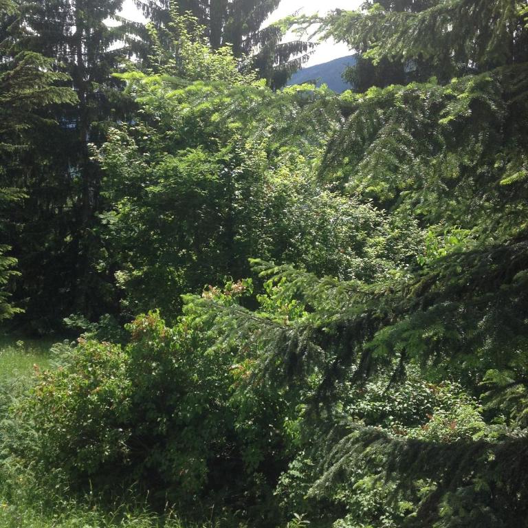 Villa Volpe Rossa - Villa con 5 Camere da Letto - 16