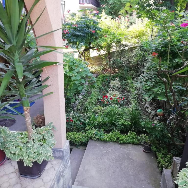 Sokobanja apartman Aviva - Apartman sa 1 Spavaćom Sobom - 6