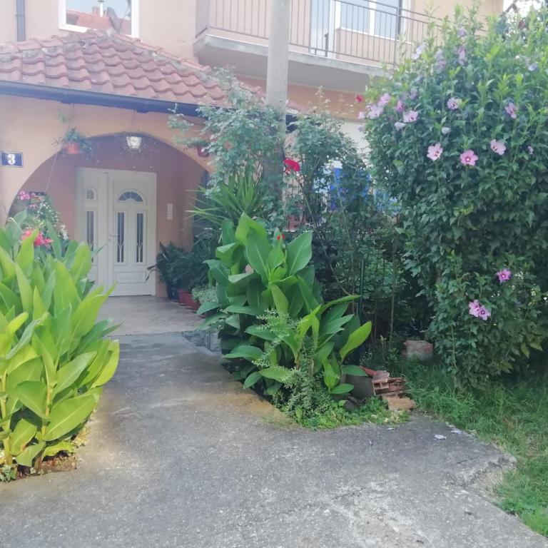 Sokobanja apartman Aviva - Apartman sa 1 Spavaćom Sobom - 3