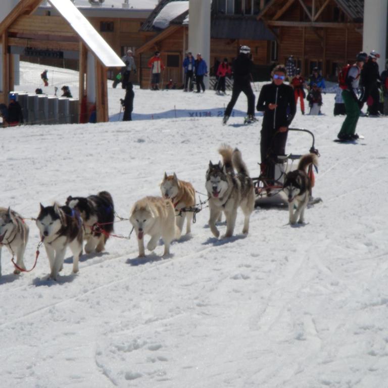 Chalet Clementine - Chalet mit 4 Schlafzimmern (8 Erwachsene) - 32
