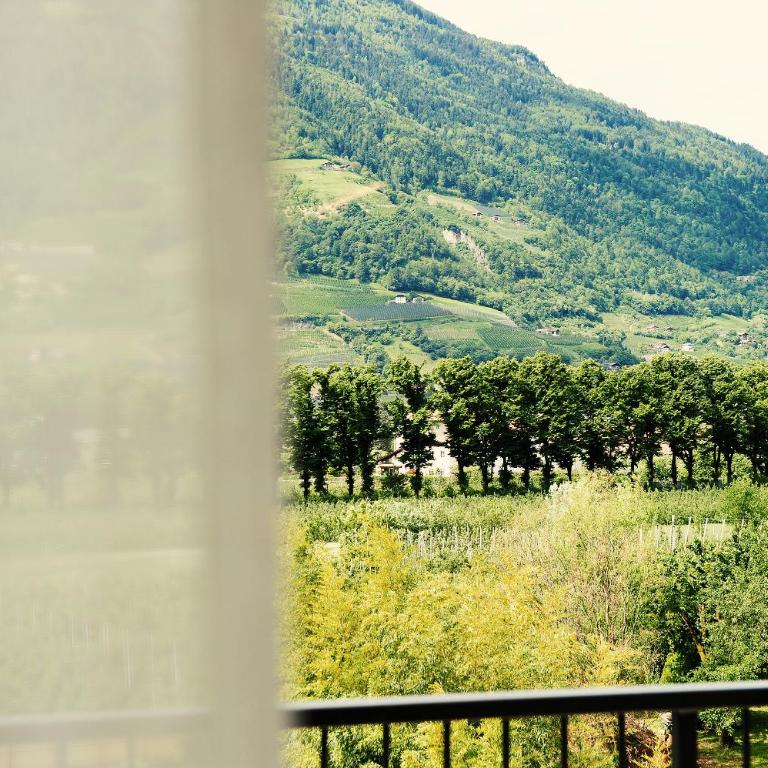 Villa Sasso - Monolocale - 15