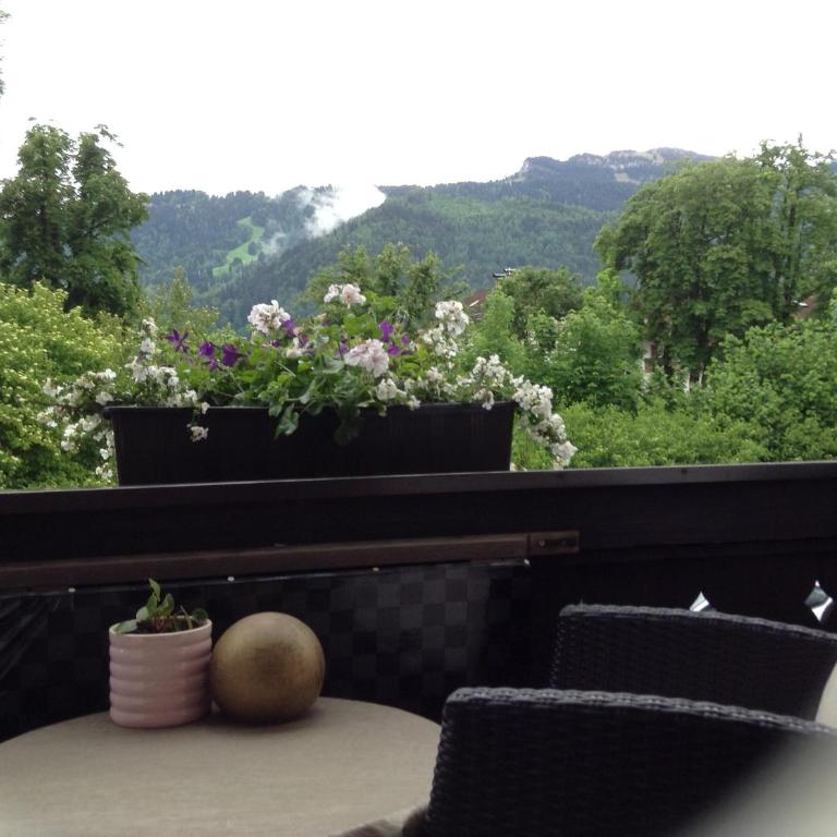 Gästehaus Nicole - Doppelzimmer mit Balkon - 2
