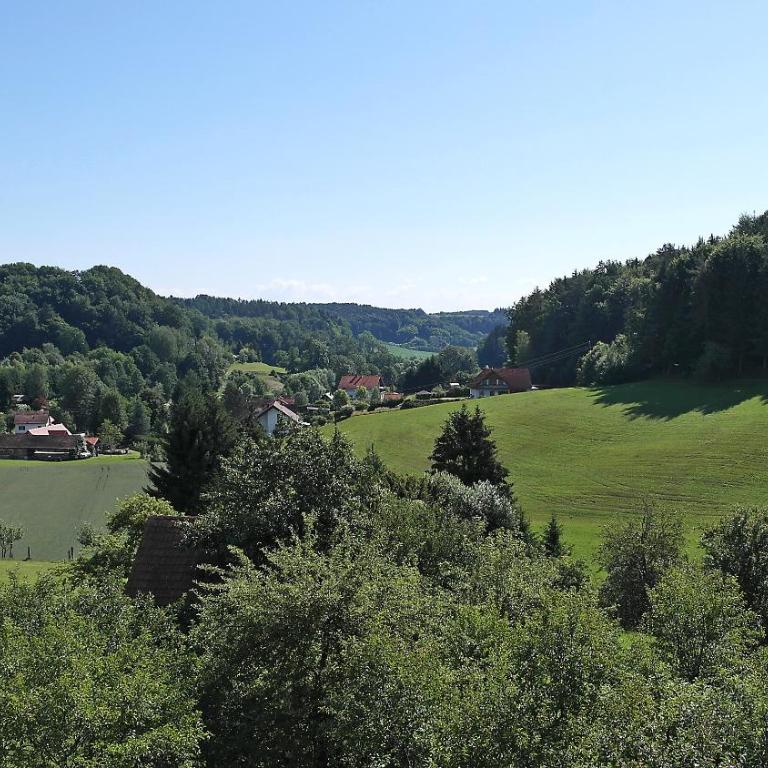 Landhaus Waldfrieden - Junior Suite with Balcony - 2