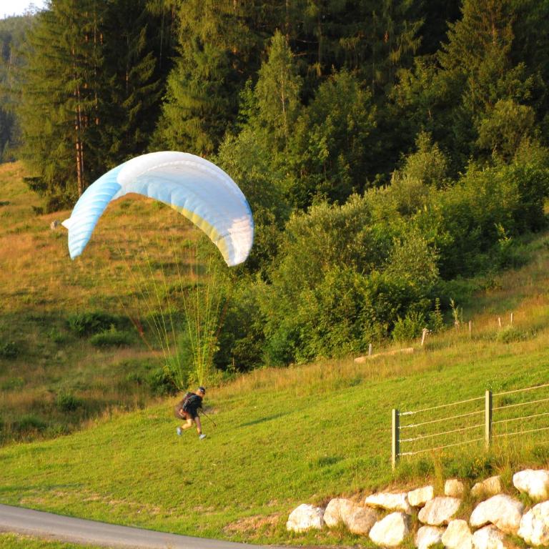 Ferienhaus Englbrecht - Apartment mit Blick auf die Berge - 37