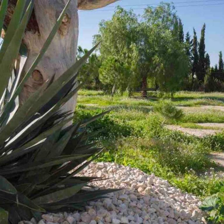 VILLA FINA (piscina/wifi/barbacoa/parking) - Villa - 60