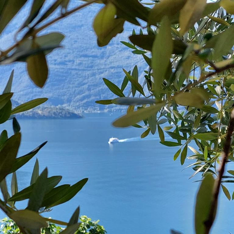 Casa vacanze Perla del Lago - Casa con 1 Camera da Letto - 11