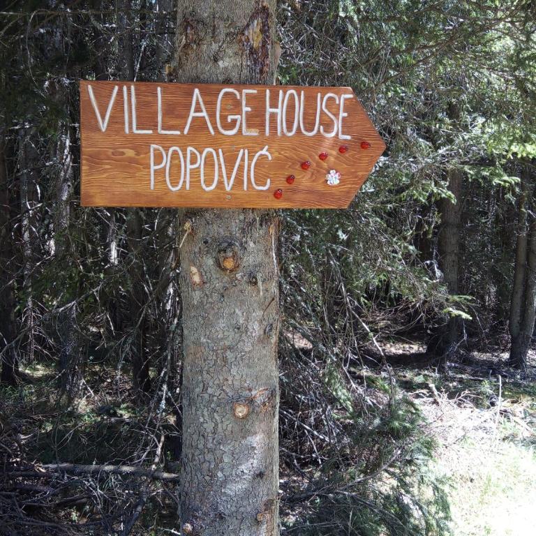 Village house Popovic - Studio with Mountain View - 33