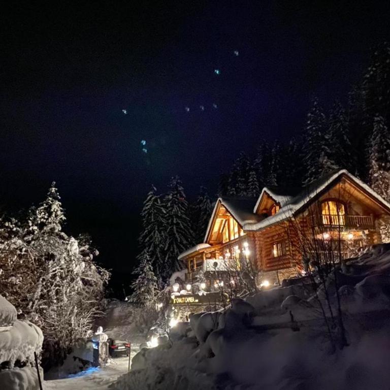 Chalet Caprea - Chalet - 3