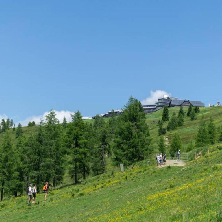 Hundefreundliche Bergwohnung neben der Skipiste - Mittelstation Skigebiet Gerlitzen - Apartment mit 1 Schlafzimmer - 27