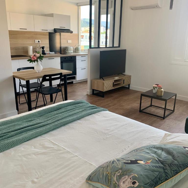 Joli studio spacieux - One-Bedroom Apartment - 1