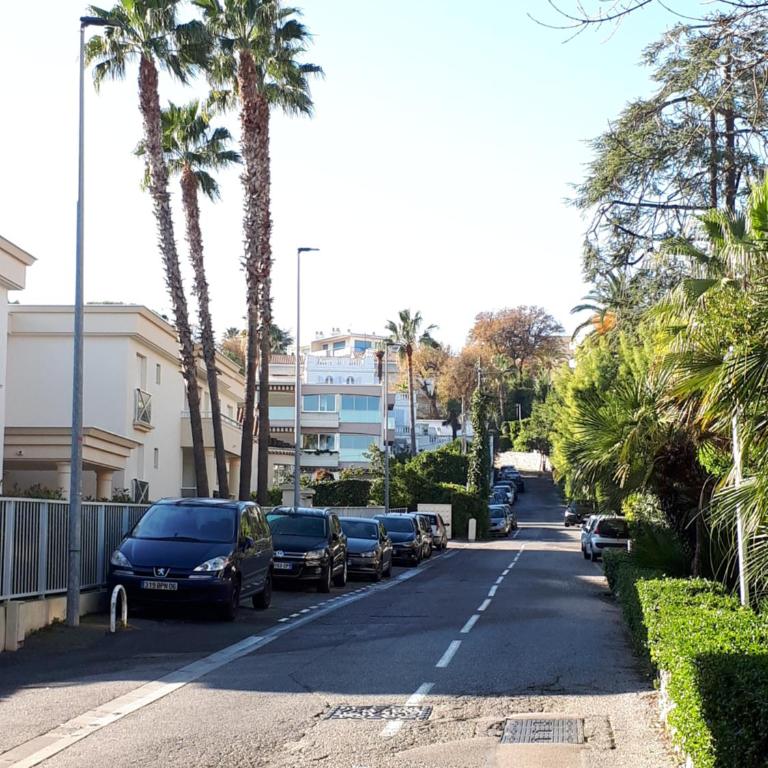 sylphides mg - Appartement - 17