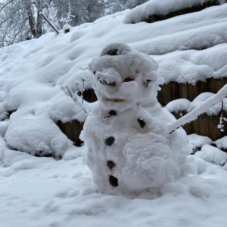 Chalet massif du Mont Blanc St Gervais les bains - Megeve - Chalet 2 Chambres - 38