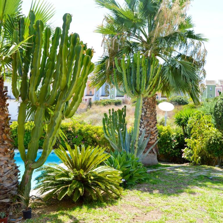 Villa Bendex Estepona Costa Del Sol - Villa - 47