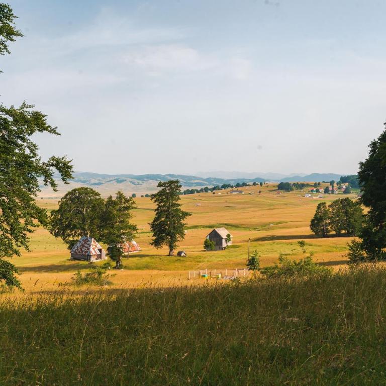 Highlander's House - Three-Bedroom House - 15