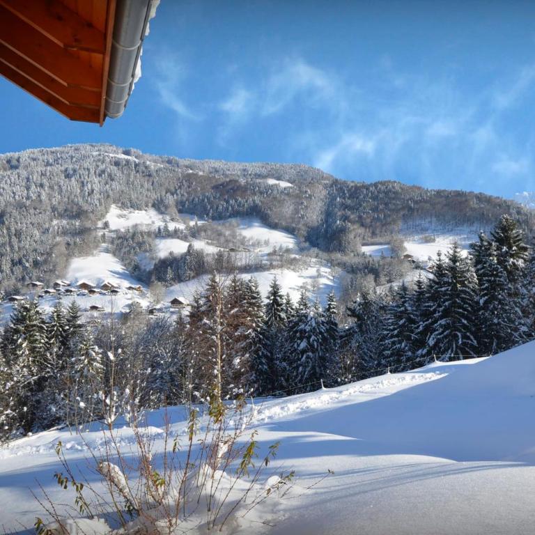 Chalet Les Roses Des Alpes - OVO Network - Chalet - 18