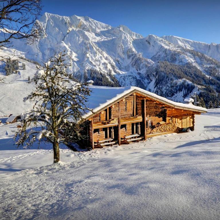Chalet Capieu - Le Barn - OVO Network - Chalet - 20