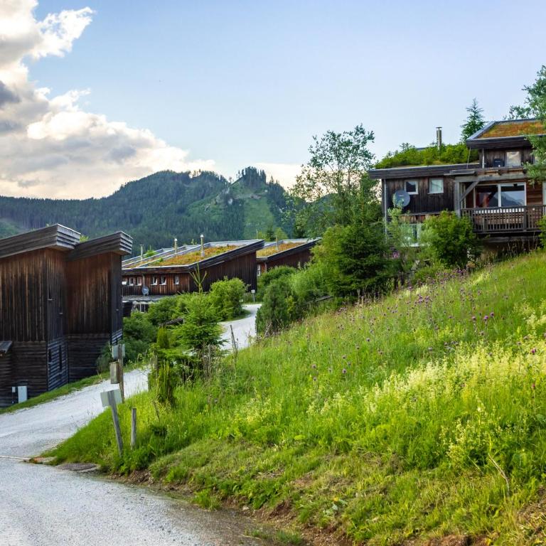 Ferienhaus Sternwarte - Chalet - 25