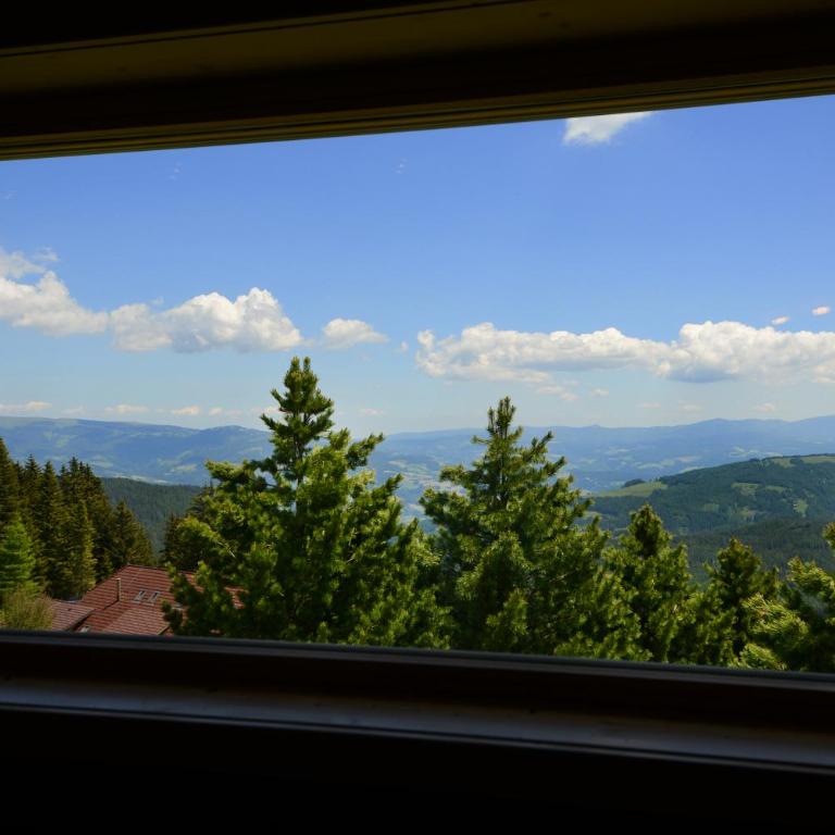 MoselebauerAlm - Chalet - 33